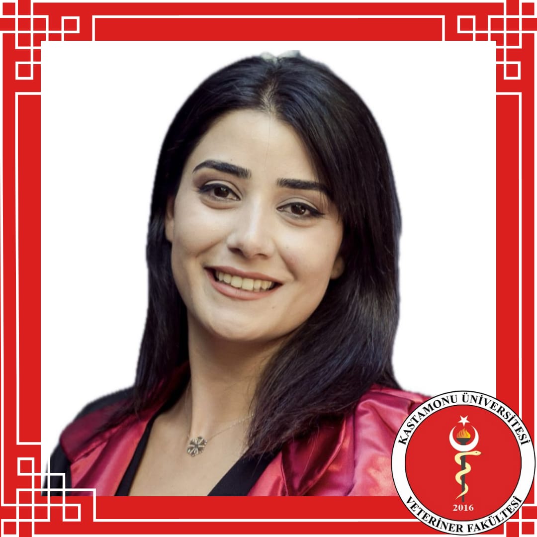 Dr. Öğr. Üyesi Berrak Işık SOYTÜRK