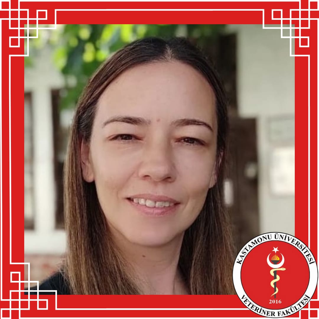 Prof. Dr. Elif DOĞAN