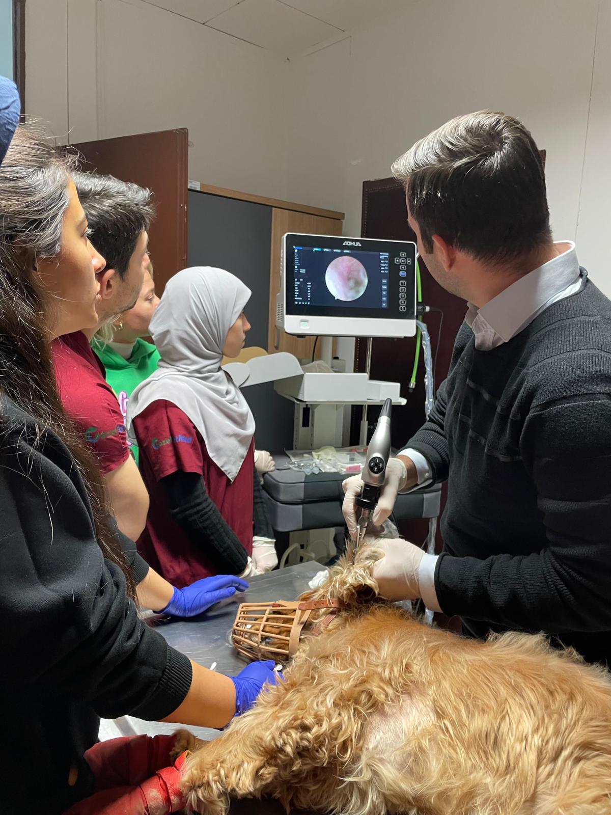9 Yaşındaki Köpeğe Endoskopik Kulak Kanalı Muayenesi Gerçekleştirildi